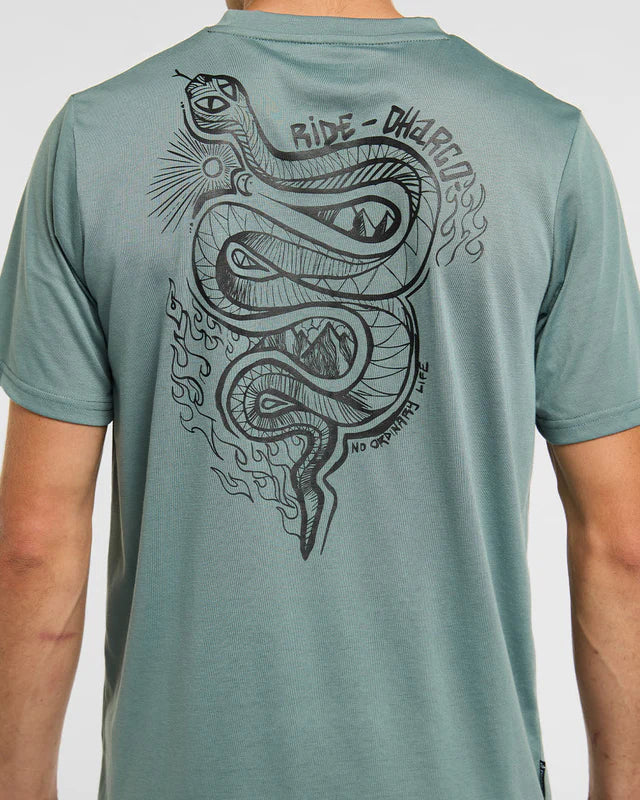 DHARCO TECH TEE ENVY Trikot Kurzarm Grün - Image 6