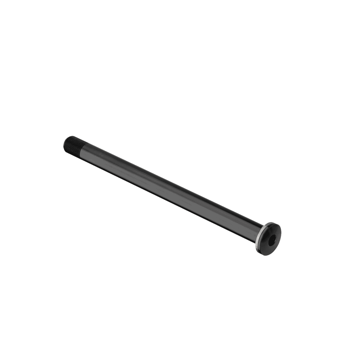 DT SWISS RWS Plug In Vorderrad-Spannachse 12x100mm