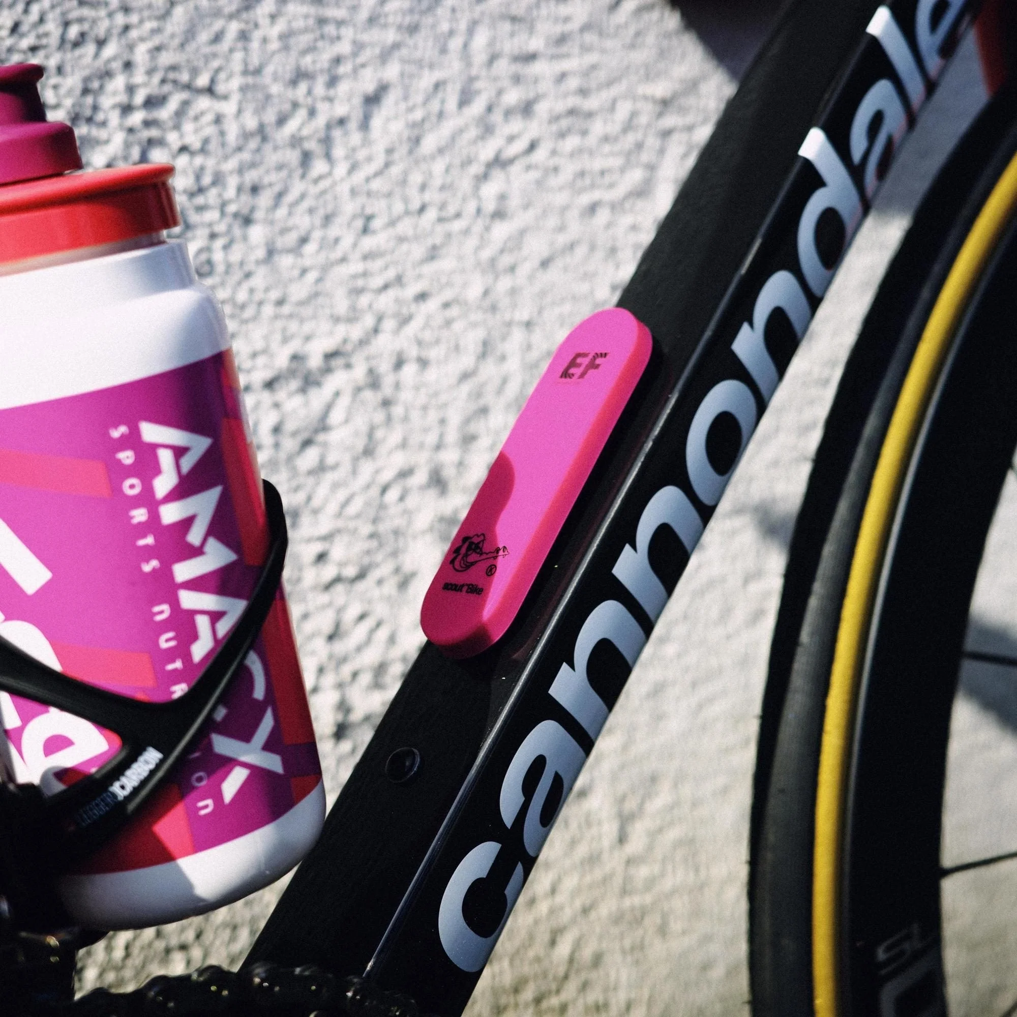 Fahrradalarm und -tracker KNOG SCOUT Limited Edition E.F. Pro Cycling Rosa - Image 4