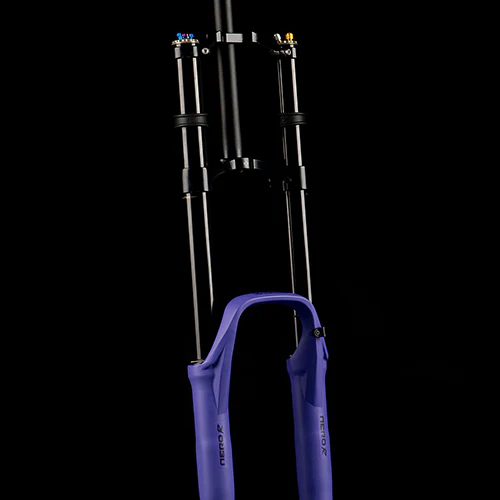 Gabel FORMULA NERO R 29" Achse 20x110mm Boost Ultraviolet - Image 2