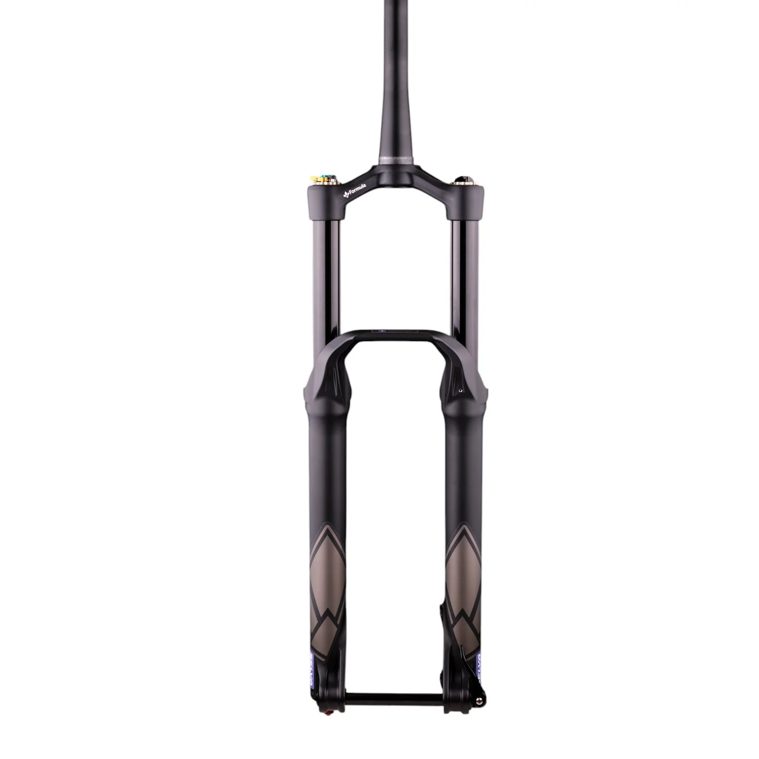 Gabel FORMULA SELVA V 29" Achse 15x110mm Boost Schwarz - Image 2