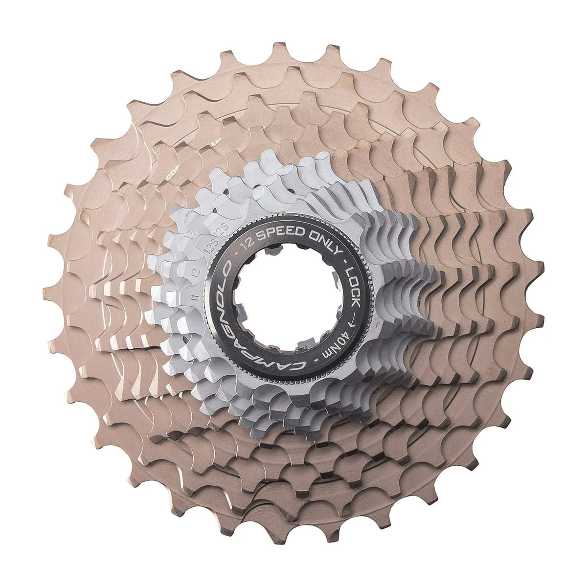 Gruppe CAMPAGNOLO SUPER RECORD WRL 2x12V - Image 14
