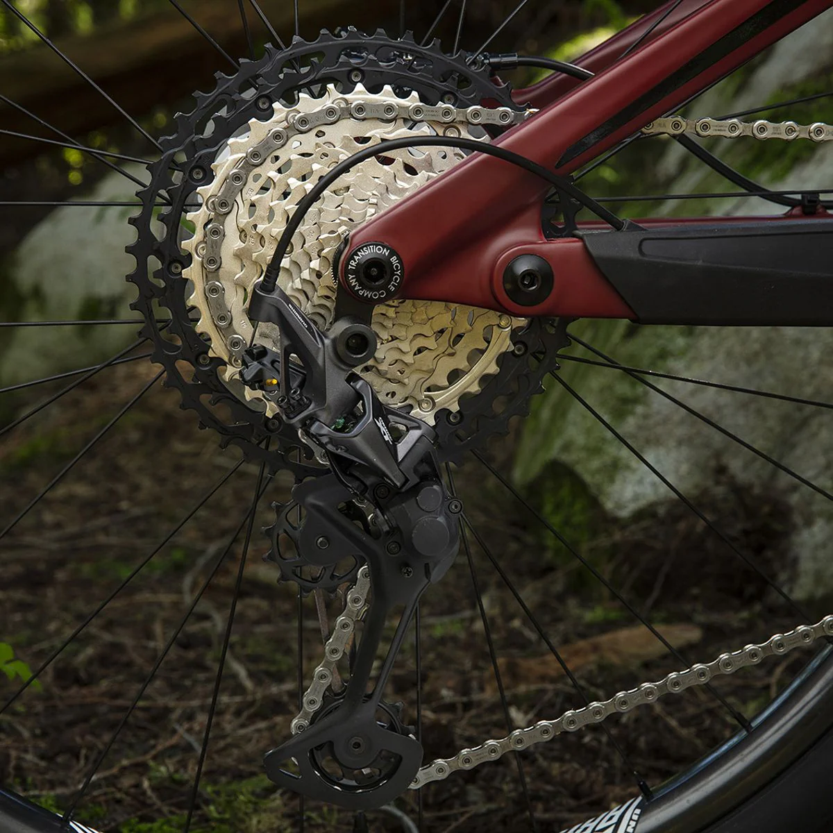 Kassette 12-fach SHIMANO DEORE XT CS-M8100 - Image 4