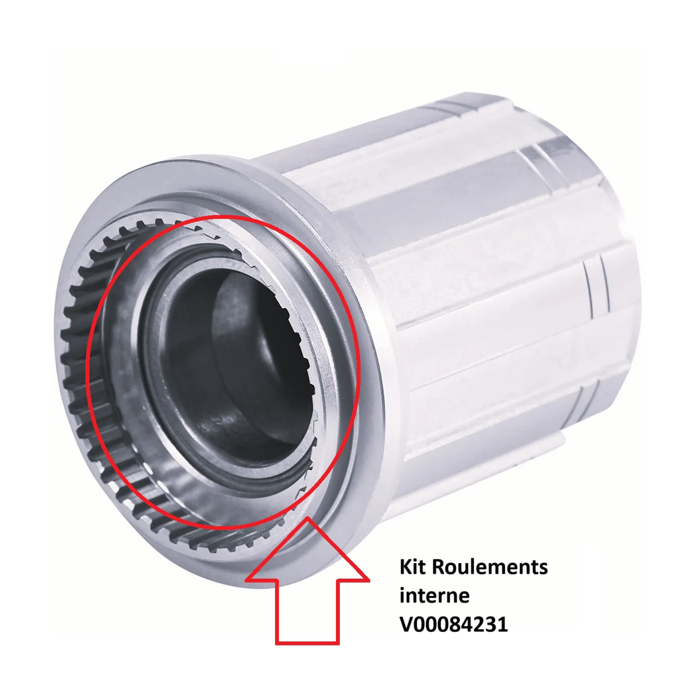 MAVIC Lager Für Freilaufkörper XD. XDR. N3W. M11 ID360 LIGHT