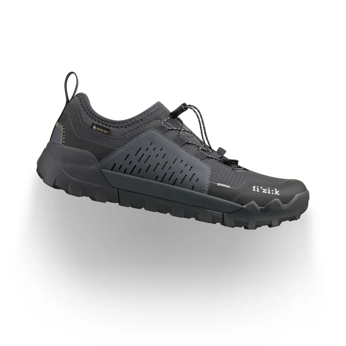 Mountainbike-Schuh FIZIK ERGOLACE 2 GTX FLAT Schwarz