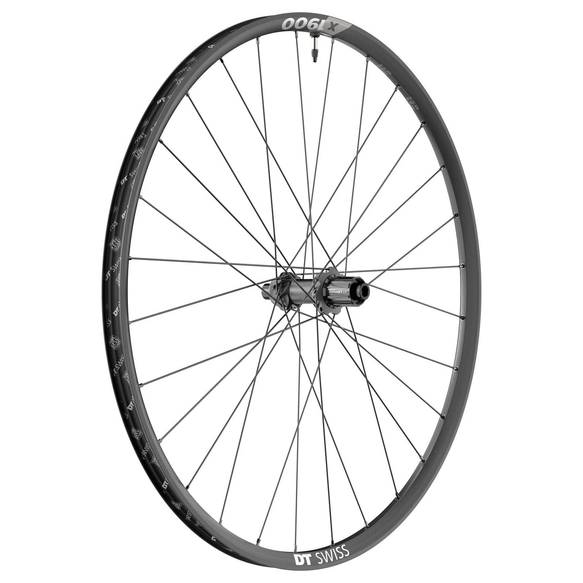 Paar DT SWISS X 1900 SPLINE 25 mm 29" Laufräder 15x110/12x148 mm - Image 2