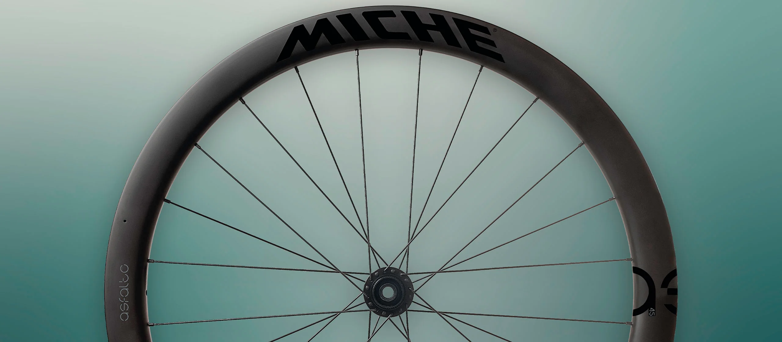 Paar Laufräder MICHE ASFALTO 45 Tubeless Ready (Center Lock) - Image 6