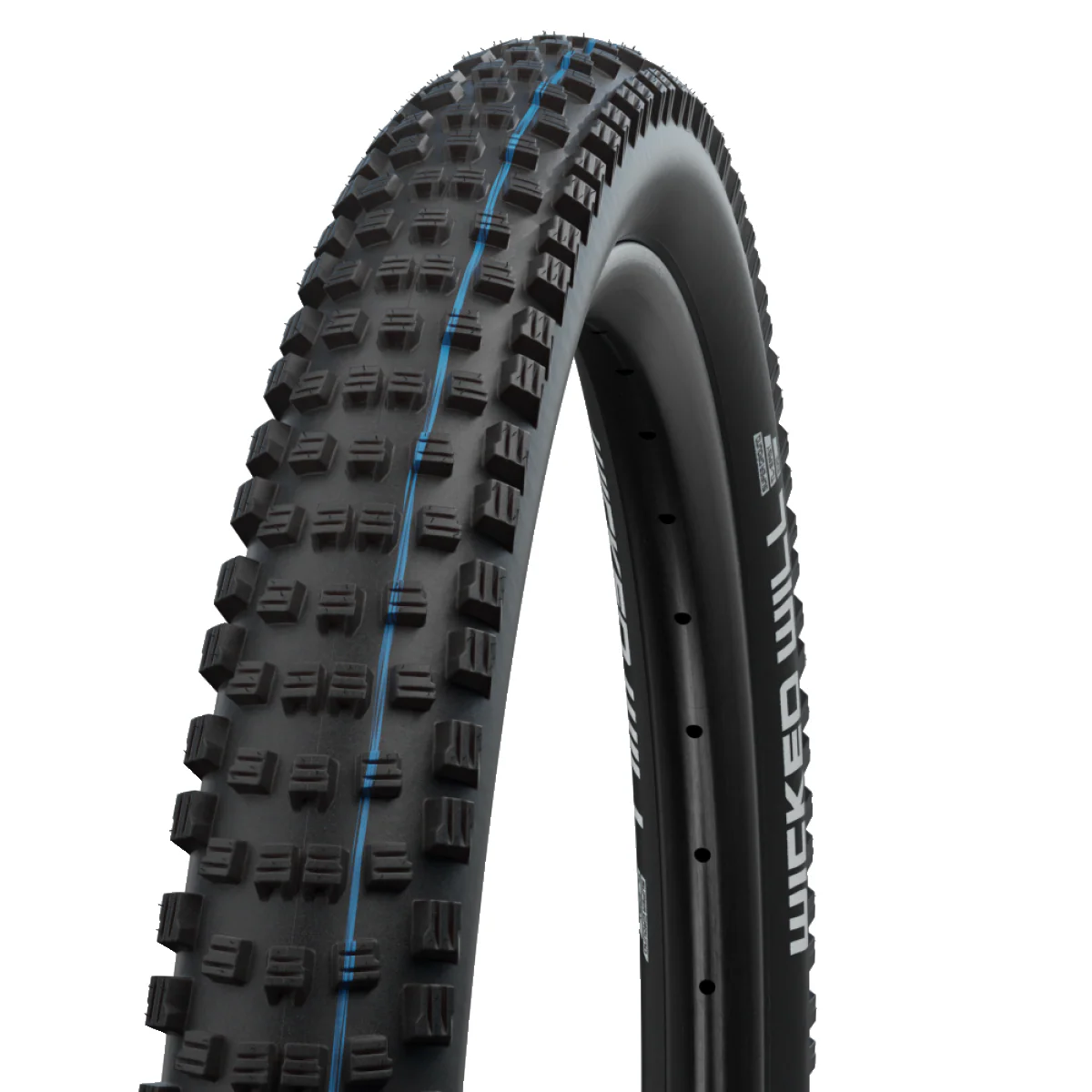 SCHWALBE WICKED WILL 29x2.60 ADDIX SPEEDGRIP SUPERGROUND Tubeless Ready Reifen Weich Schwarz